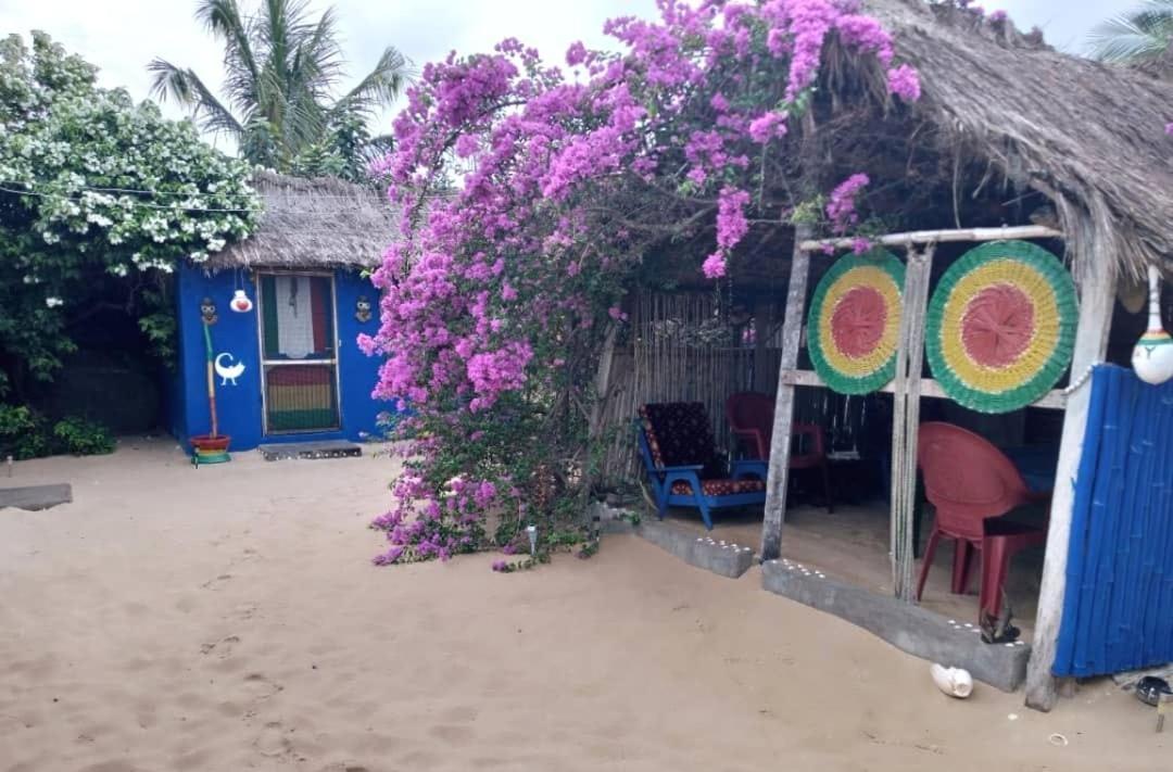 A&Y Wild Camp Ghana Keta Екстериор снимка