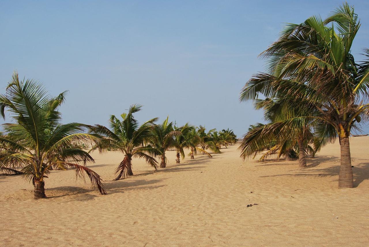 A&Y Wild Camp Ghana Keta Екстериор снимка